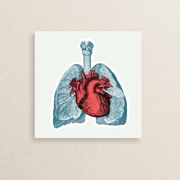 Medical - Heart sticker 30