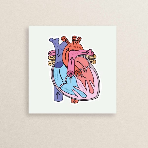 Medical - Heart sticker 26